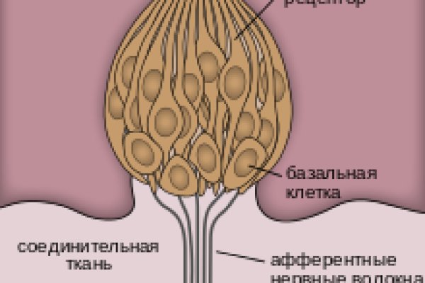 Блэк спрут зеркала bs2web