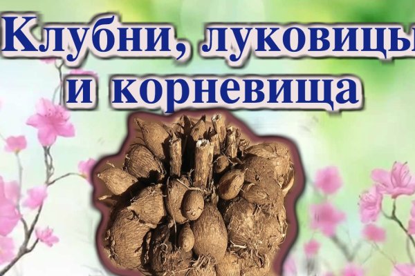 Bs gs ru официальный сайт